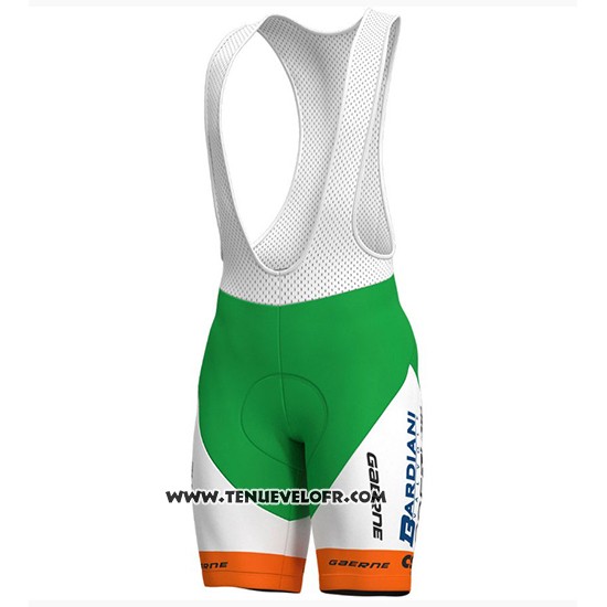 2018 Maillot Ciclismo Bardiani CSF Vert et Blanc Manches Courtes et Cuissard